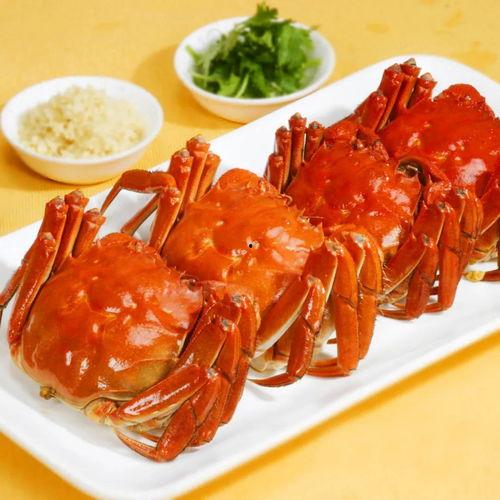 吃瓜螃蟹和平精英,揭秘和平精英背后的趣味故事