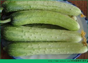 白菜在线吃瓜,揭秘网络吃瓜文化的崛起