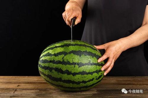 最新吃瓜方式短剧,短剧版“瓜界风云录”