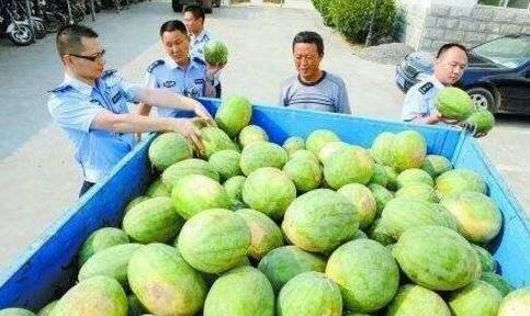 下沉广场吃瓜群,揭秘网络社交的“瓜田”现象