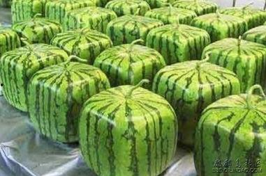 吃瓜热线最新,揭秘娱乐圈最新热点事件