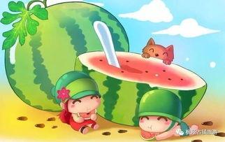 阿呆和阿瓜吃汉堡,一场味蕾与友谊的碰撞