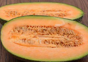 喂猪吃哈密瓜,独特喂养新风尚