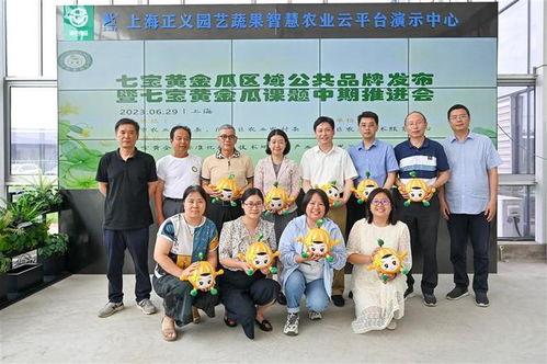 吃瓜群众闵行,揭秘都市生活百态