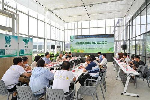 吃瓜群众闵行,揭秘都市生活百态