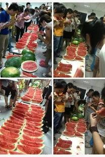 吃瓜的庙庙,网络红人的崛起与影响力