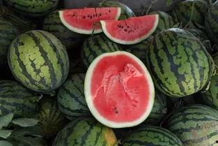 活切吃瓜,揭秘夏日消暑新潮流