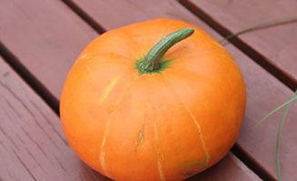 农村秋天吃的瓜,品味农村瓜果的丰收盛宴