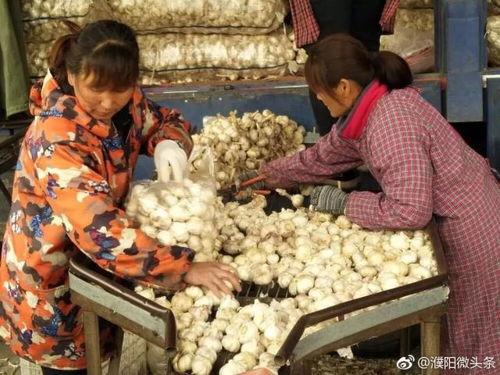 濮阳吃瓜的地方