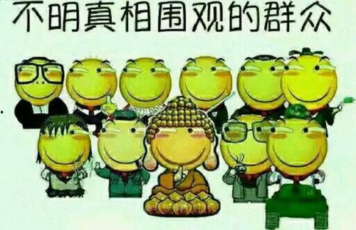 吃瓜群众阿姨解说文案,揭秘娱乐圈幕后故事