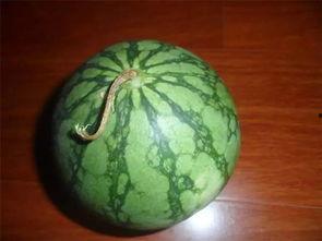 做梦老是吃瓜,瓜果飘香，梦回瓜田