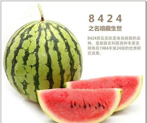 富贵儿吃瓜趣事,一场宫廷盛宴中的欢乐闹剧