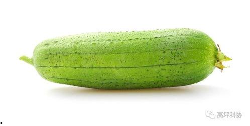 吃瓜种子6,一场关于网络热点的深度探讨