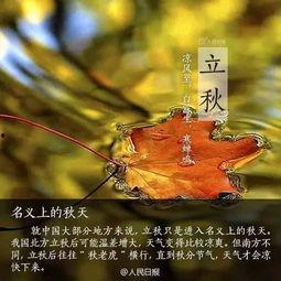 谚语关于立秋吃瓜的,探寻民间谚语中的立秋食俗