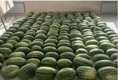 烟台校园吃瓜,揭秘校园里的那些事儿