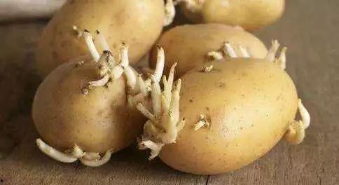 烟台校园吃瓜,揭秘校园里的那些事儿