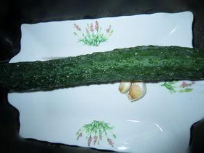 减肥可以吃青龙瓜