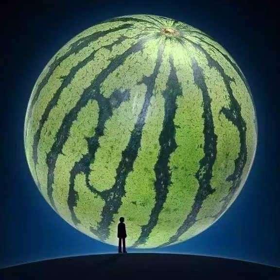 带我吃瓜书名,揭秘娱乐圈那些不为人知的秘密