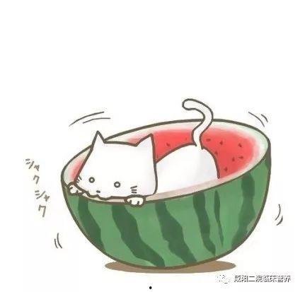 吃瓜头像怎么回复,网络潮流背后的社交心理