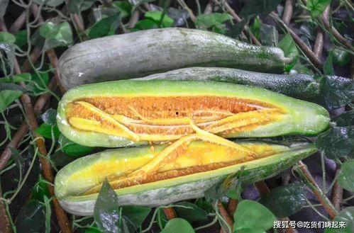 博雅网红吃瓜,揭秘娱乐圈幕后真相