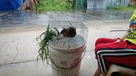 吃瓜循环,揭秘娱乐圈最新热点事件