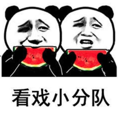 520吃瓜表情包,表情包带你领略年度趣味盛宴